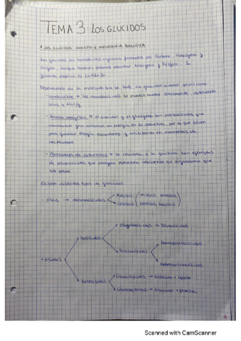 Tema-3-Los-glucidos.pdf