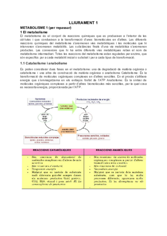 Biologia-Bloc-2.pdf
