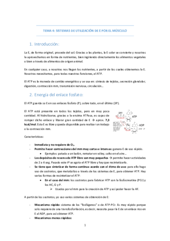 TEMA-4-SISTEMAS-ENERGIA-EN-MM.pdf