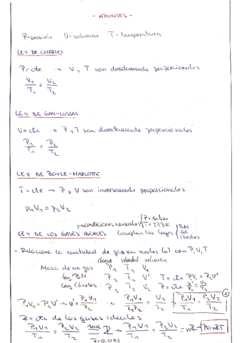 Los-gases.pdf