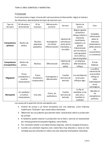 TEMA-6.pdf