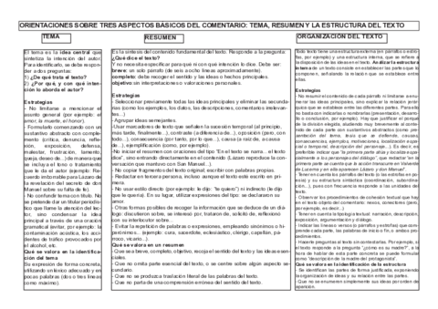 Orientaciones-Tema-Resumen-Estructura.pdf
