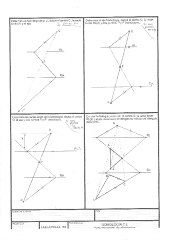 Homologia-Ejercicios-preparacion-EVAU.pdf