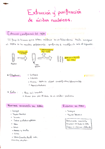 Extraccion-y-purificacion-de-aicidos-nucleicos.pdf