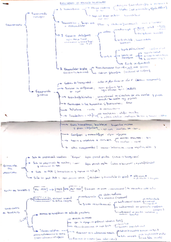 Labroratorios-y-seguridad.pdf