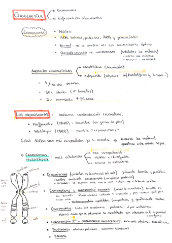 Citogenetica.pdf