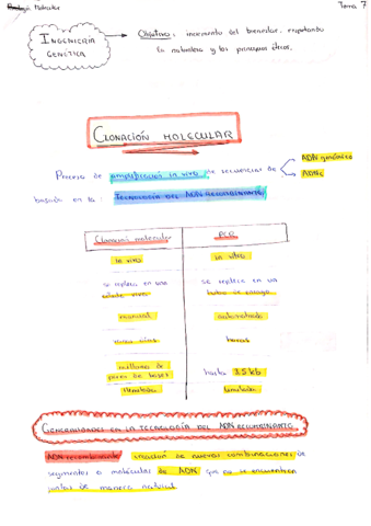 Ingenieria-genetica1.pdf