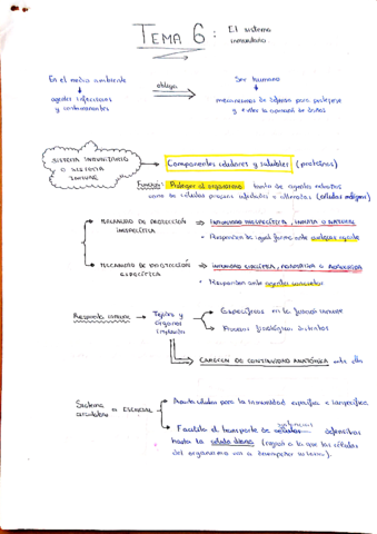 Tema-6-Sistema-inmunitario.pdf