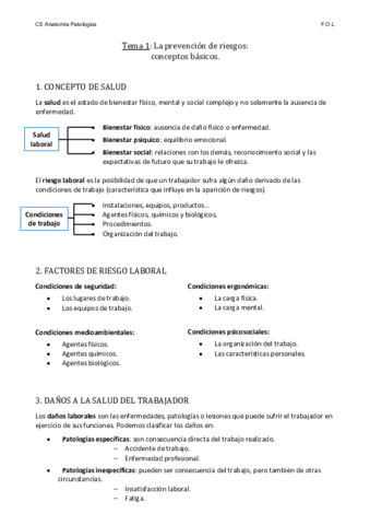 Tema-1-Prevencion-de-riesgos.pdf