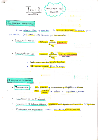 Tema-6-Muestras-de-sangre.pdf