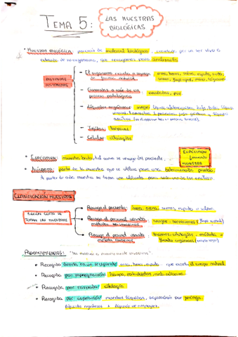 Tema-5-Las-muestras-biolgicas.pdf