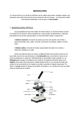 Trabajo-Microscopa.pdf