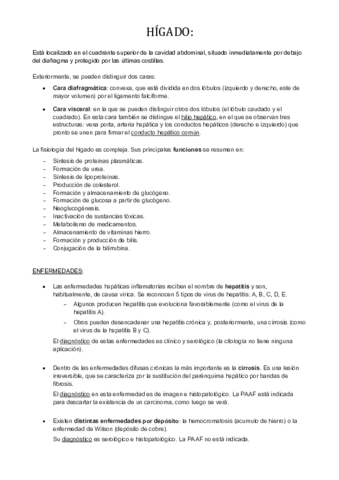 HIGADO.pdf