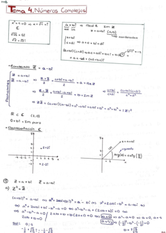 Tema-4-MB.pdf