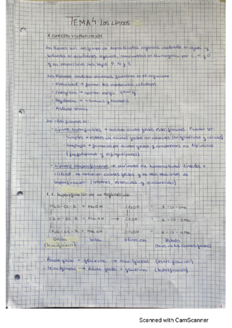 Tema-4-Los-lipidos.pdf