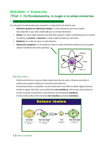Tema-1-PDF-copia.pdf