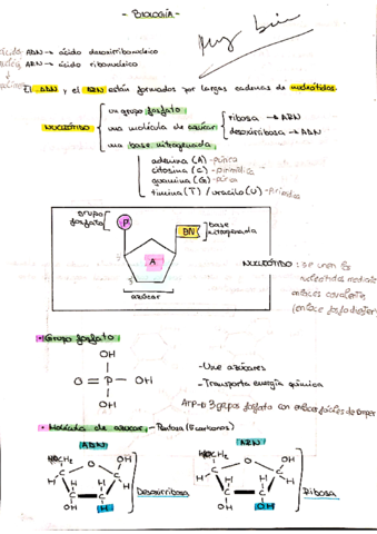 Genetica4ESO.pdf