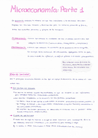 micro-parte-1.pdf