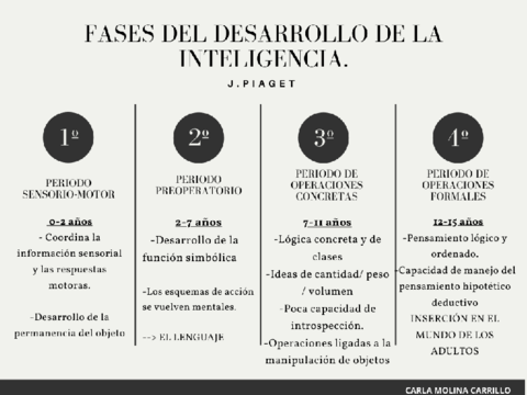 Fases-del-desarrollo-de-la-inteligencia.pdf