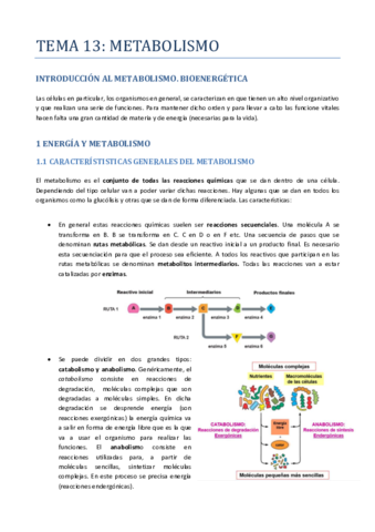 TEMA-13-METABOLISMO.pdf