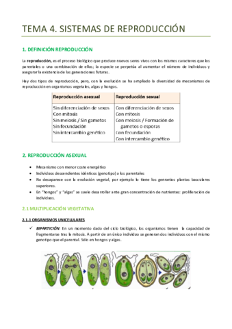 TEMA-4-BOTANICA-REPRODUCCION.pdf