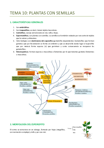 TEMA-10-BOTANICA-PLANTAS-CON-SEMILLAS.pdf
