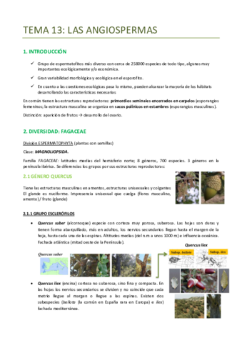 TEMA-13-BOTANICA-ANGIOSPERMAS.pdf