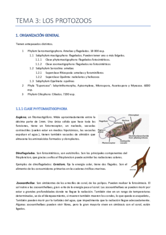 TEMA-3-ZOO-PROTOZOOS.pdf