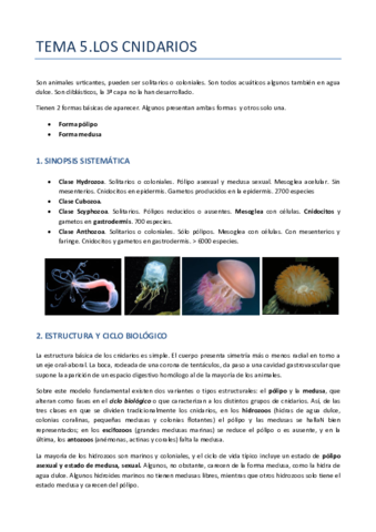 TEMA-5-ZOO-CNIDARIOS.pdf