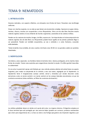 TEMA-9-ZOO-NEMATODOS.pdf