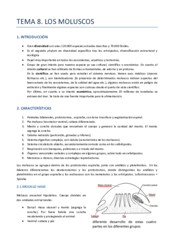 TEMA-8-ZOO-MOLUSCOS.pdf