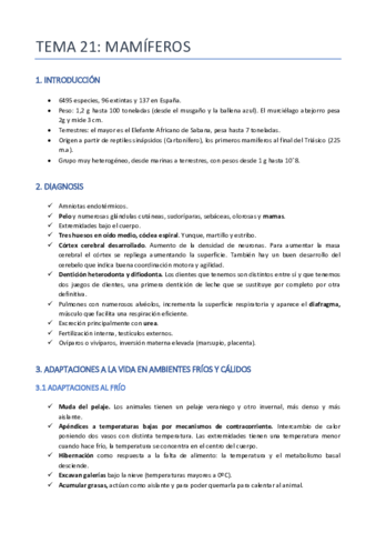 TEMA-21-ZOO-MAMIFEROS.pdf