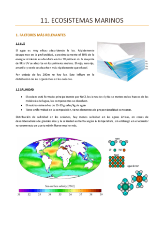TEMA-11-ECOLOGIA.pdf