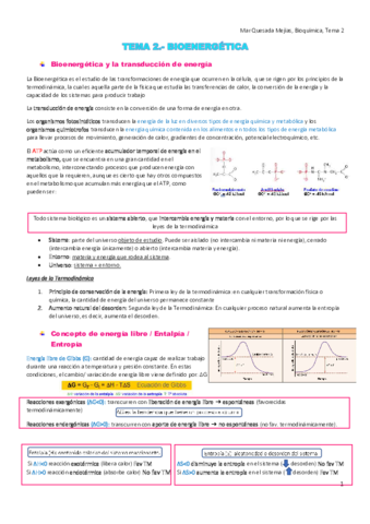 Tema-2.pdf