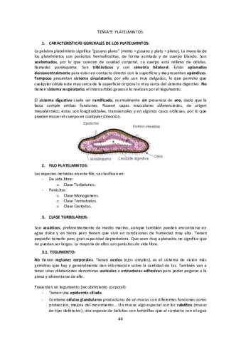 Tema-9-Platelmintos.pdf