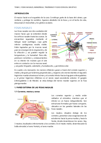 Fosas-nasales-craneales-trigemino-y-plexo-cervical-sensitivo.pdf
