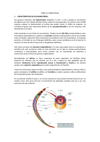 Tema-10-Nematodos.pdf