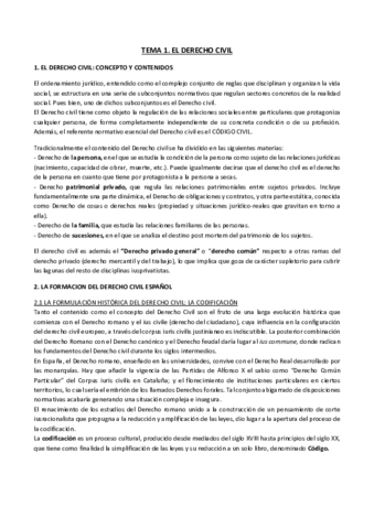 TEMA 1 CIVIL.pdf