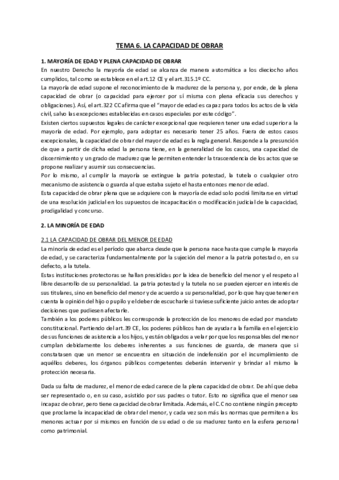 TEMA 6 CIVIL.pdf