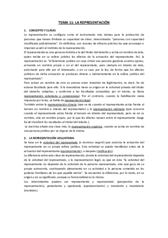 TEMA 11 CIVIL.pdf