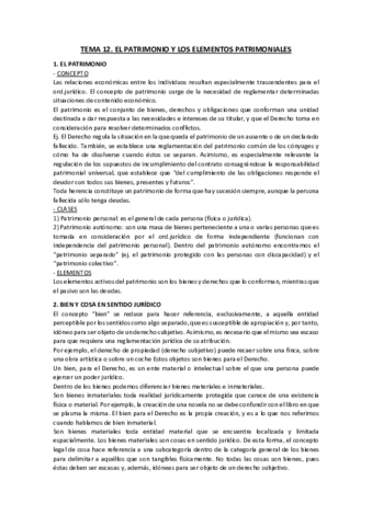 TEMA 12 CIVIL.pdf