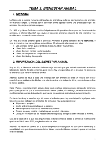 MODELOS-T3.pdf