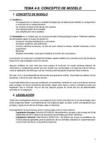 MODELOS-T4-5.pdf