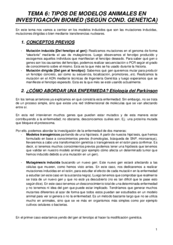 MODELOS-T6.pdf