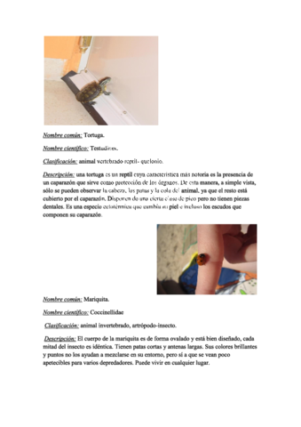 Miniatura del documento trabajo biología.pdf