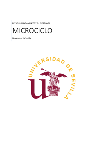 Microciclo.pdf