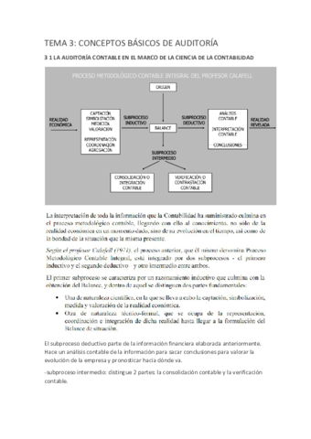 Tema-3-AEF-2020-1.pdf