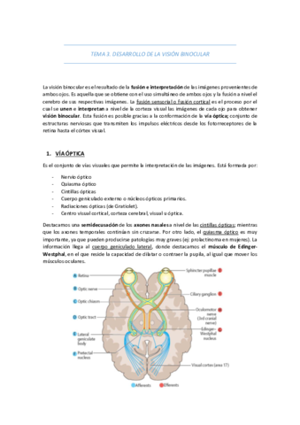 TEMA-3-DESARROLLO-DE-LA-VISION-BINOCULAR.pdf
