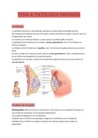 TEMA-4-PATOLOGIA-MAMARIA.pdf