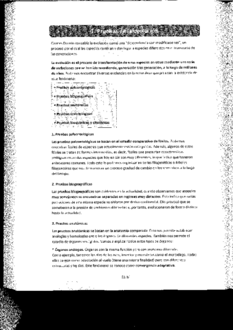 EVOLUCION.pdf